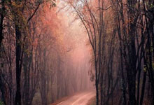 C罗：起初人们认为我来沙特是生涯的终结，我再次证明他们是错的.