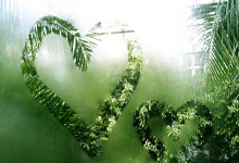 巴拉克：在维尔茨缺席的情况下，勒沃库森需要使用双前锋.