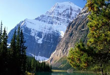 2025年“青少年公益年会杯”大湾区棒垒球邀请赛开赛3-24 15：44.