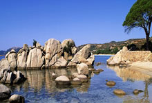 2025年“青少年公益年会杯”大湾区棒垒球邀请赛开赛3-24 15：44.